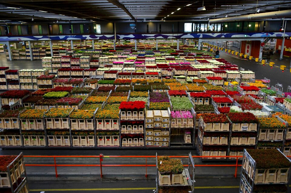 Warehouse varieties inside