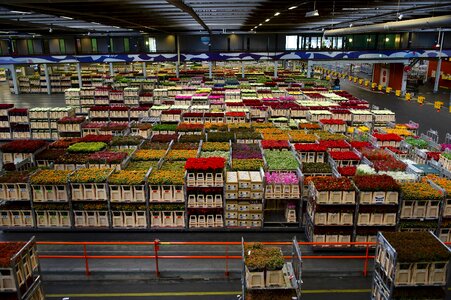 Warehouse varieties inside photo
