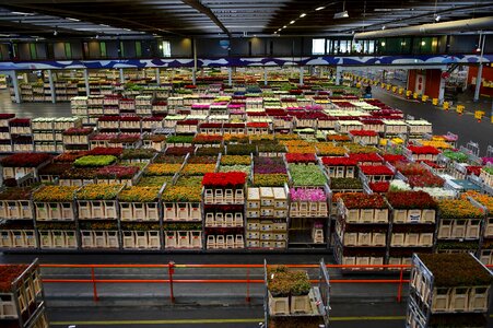 Warehouse varieties inside