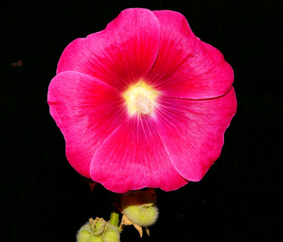 Red color colorful