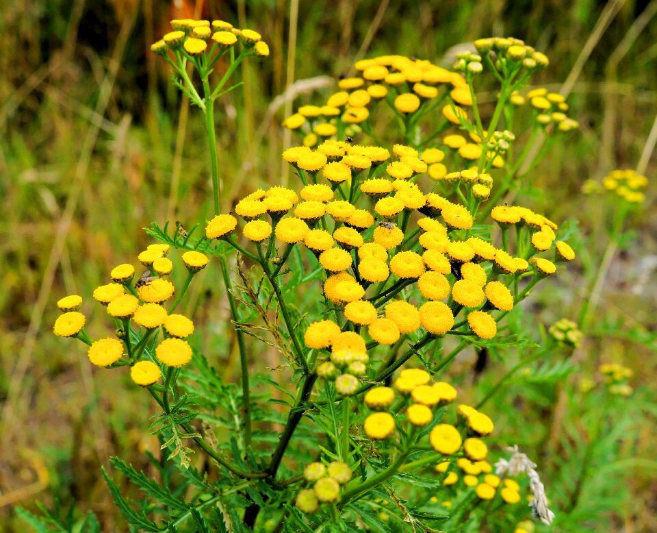 Colorful summer bright