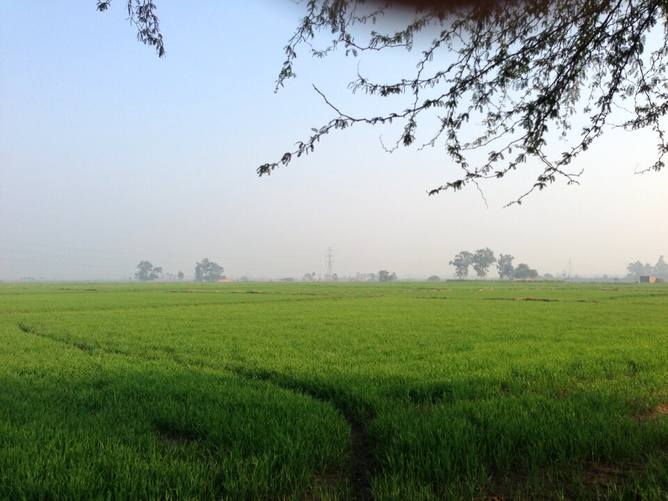 Wilderness scenery natural