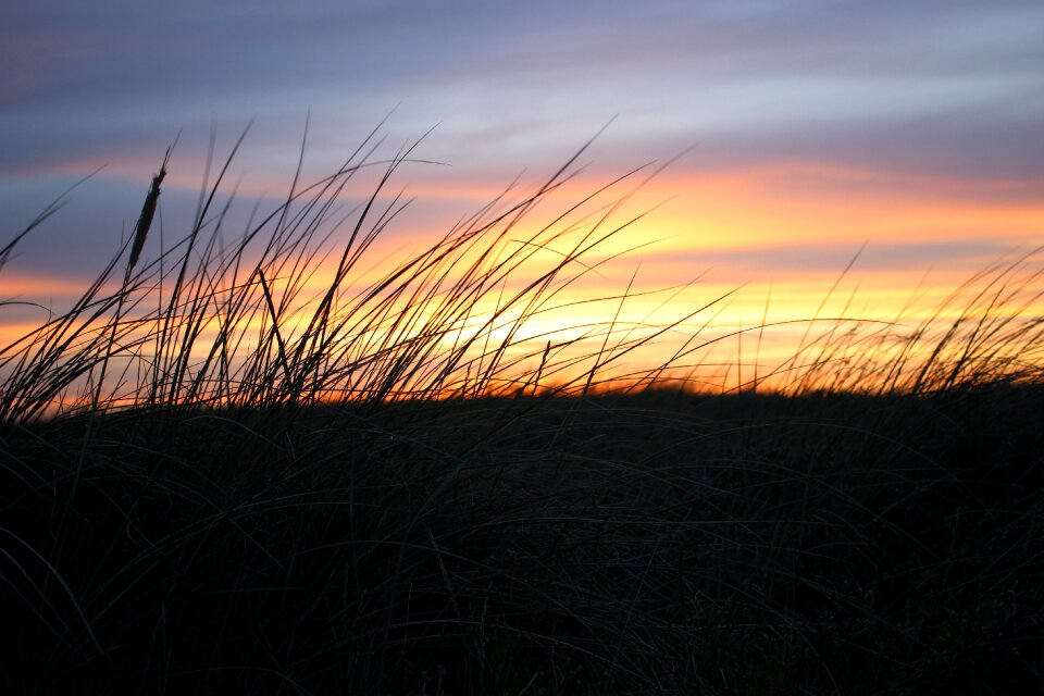 Coast sunlight beach