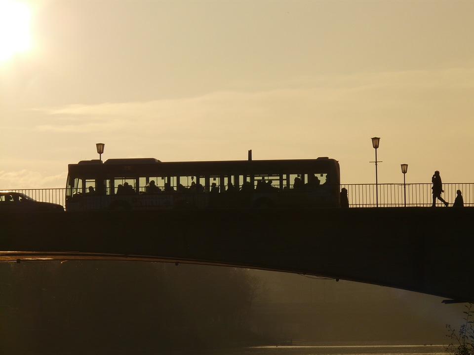 Bridge human profile