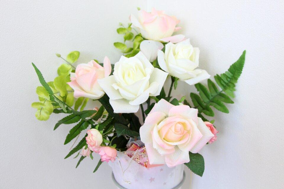 Rosaceae pink white