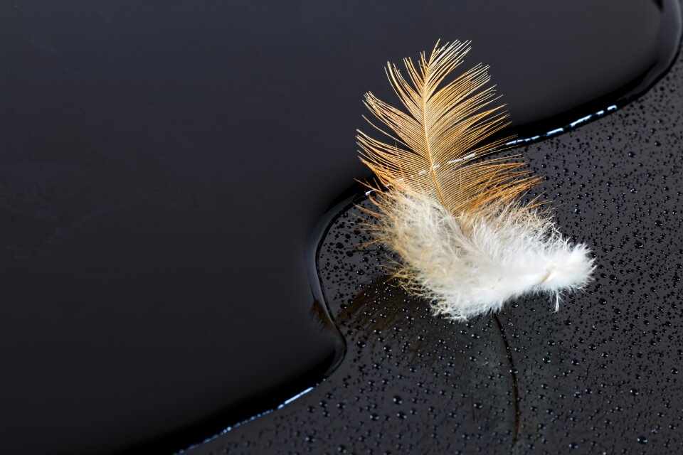 Abstract black closeup