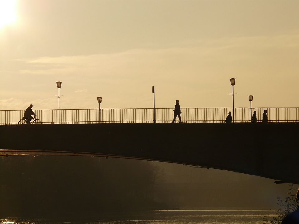 Bridge human profile