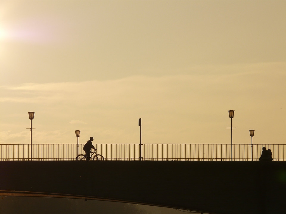 Bridge human profile