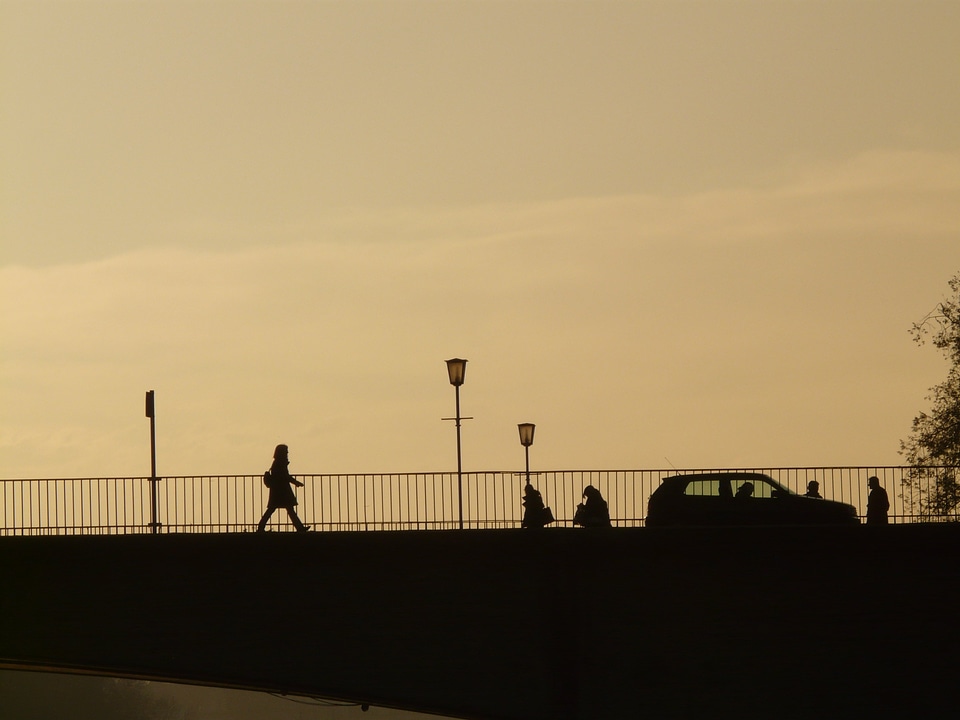 Bridge human profile