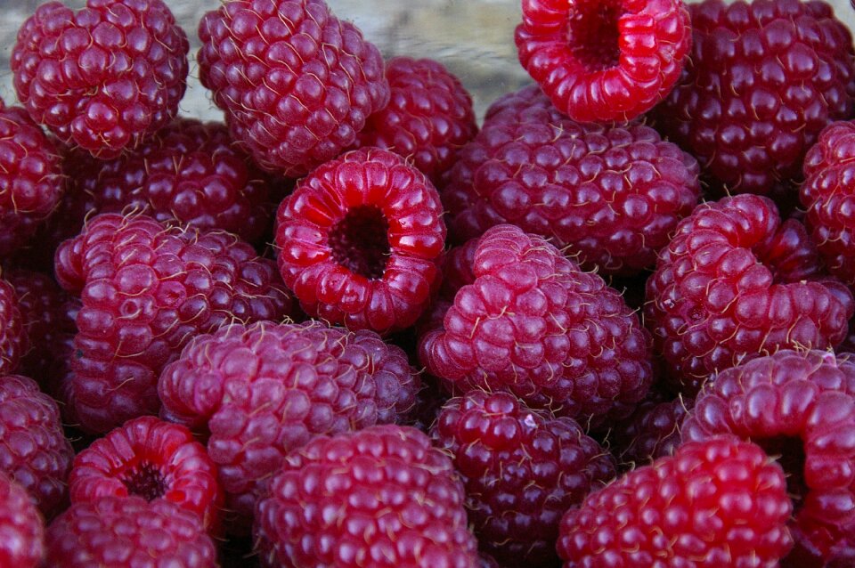 Red close up ripe