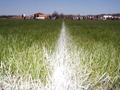 Play soccer grass photo