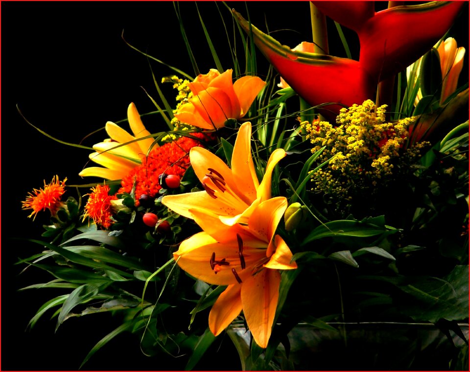 Red ornamental plant flora