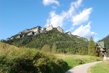 Tatra top snake photo