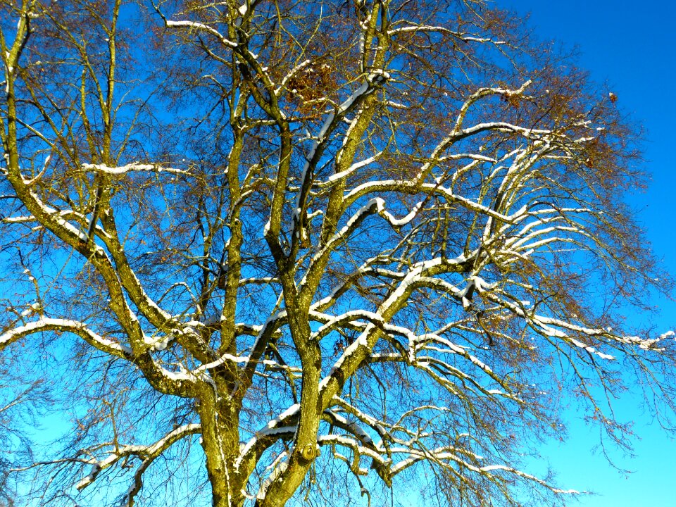 Sky winter blue photo