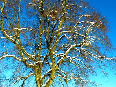 Sky winter blue photo