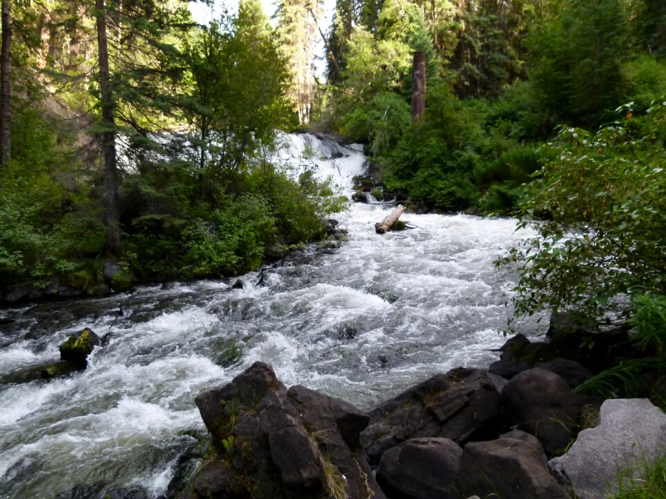 Rushing water nature photo