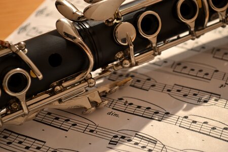 Clarinets musical black