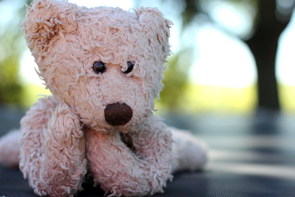 Stuffed bear animal