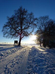 Evening abendstimmung traces photo