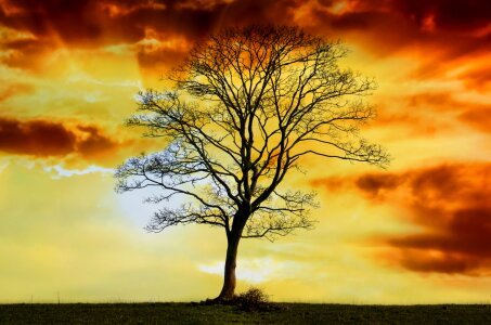 Alone sky red