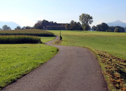 Nature field landscape