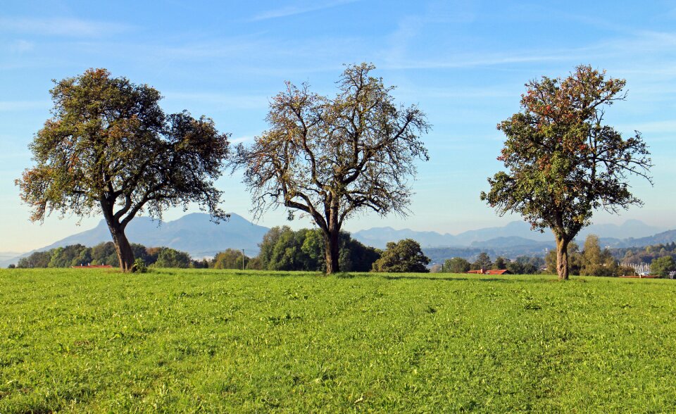 Nature meadow sky