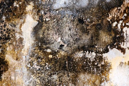 Damp design detail