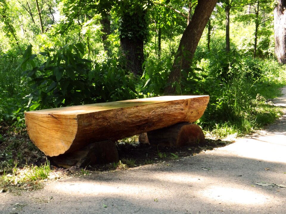 Nature walk outdoor