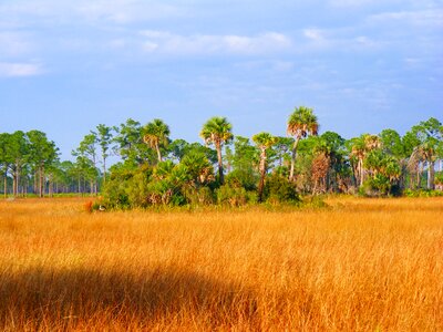 Wetland sky outside photo