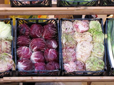 Eat salad colorful