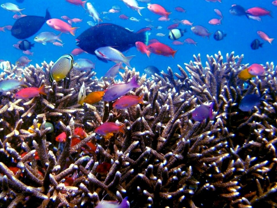Indonesia tropical island tourism