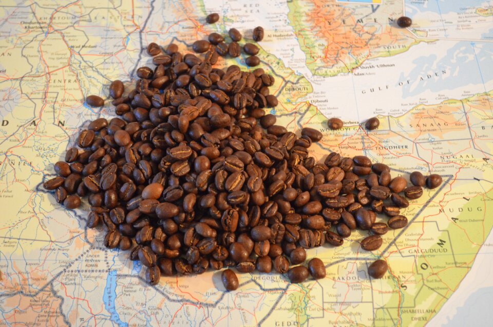 Beans africa sidamo
