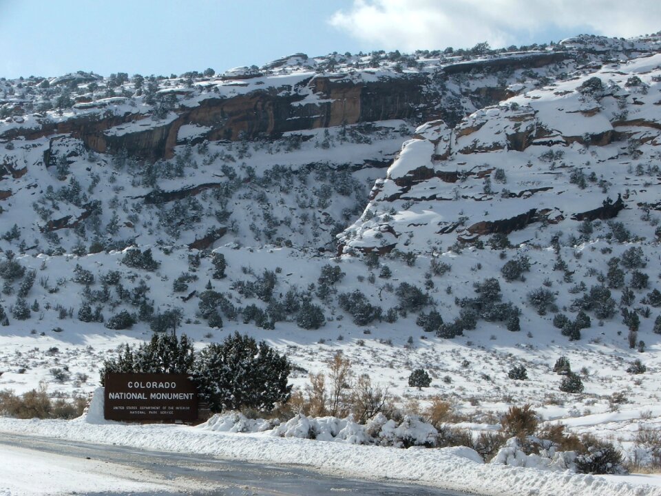 Colorado cold season