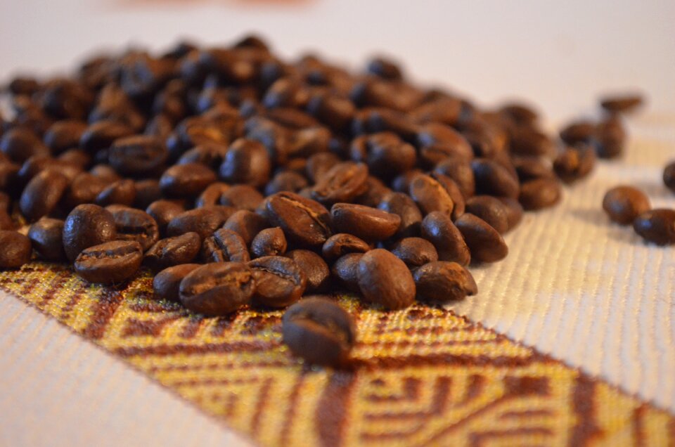 Culture africa fabric