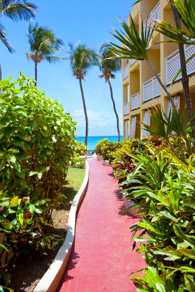 Nature house hotel
