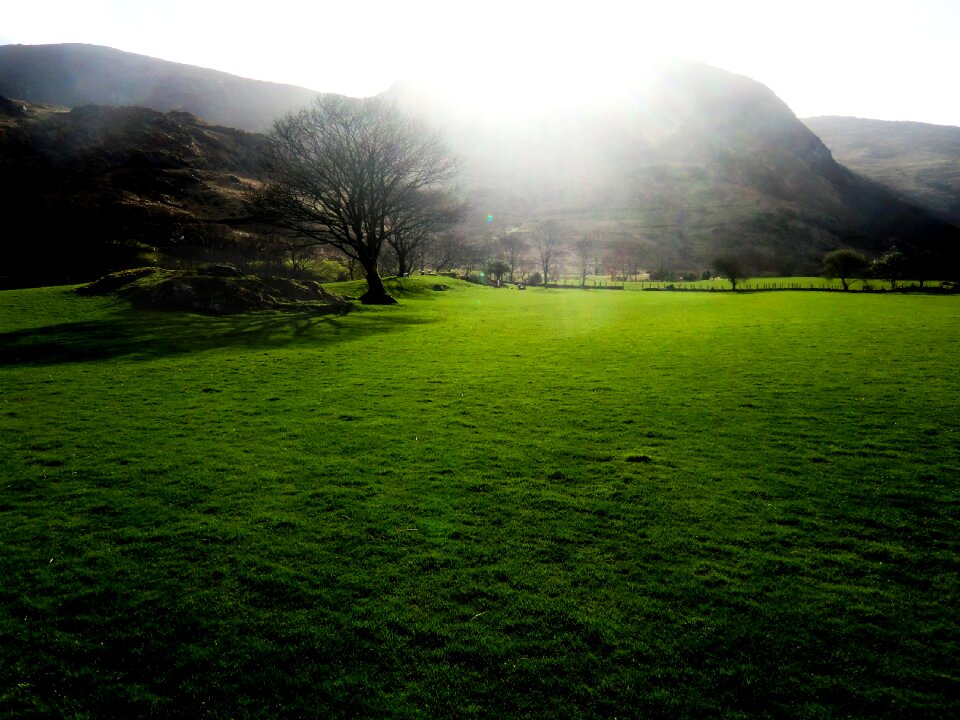 Mood backlighting grass