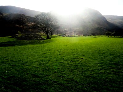 Mood backlighting grass