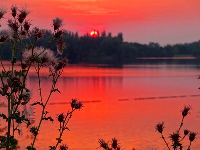 Sky red forest photo