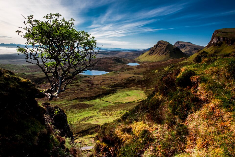 Isle of skye tree lake