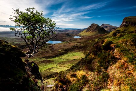 Isle of skye tree lake
