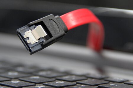 S-ata connecting cable red photo