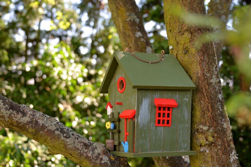 Bird feeder tinker feeding