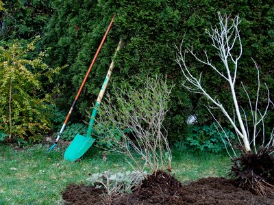 Shrubs garden tools computing photo