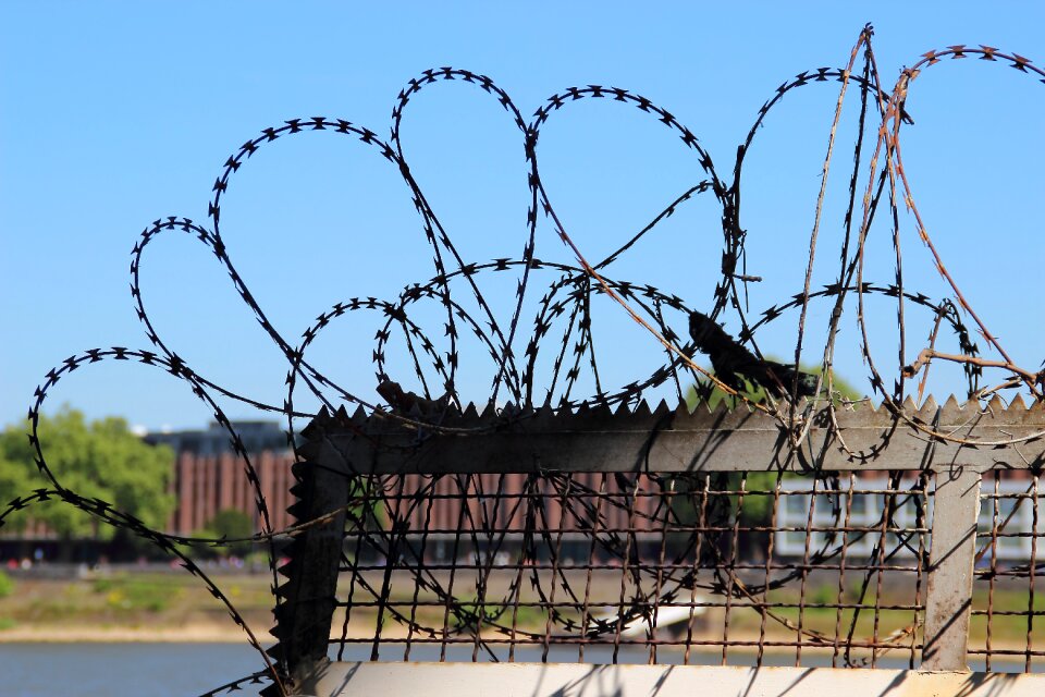 Captivity metal wire