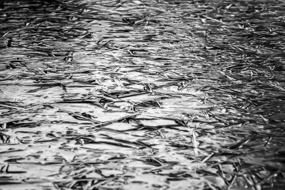 Frozen pattern structure