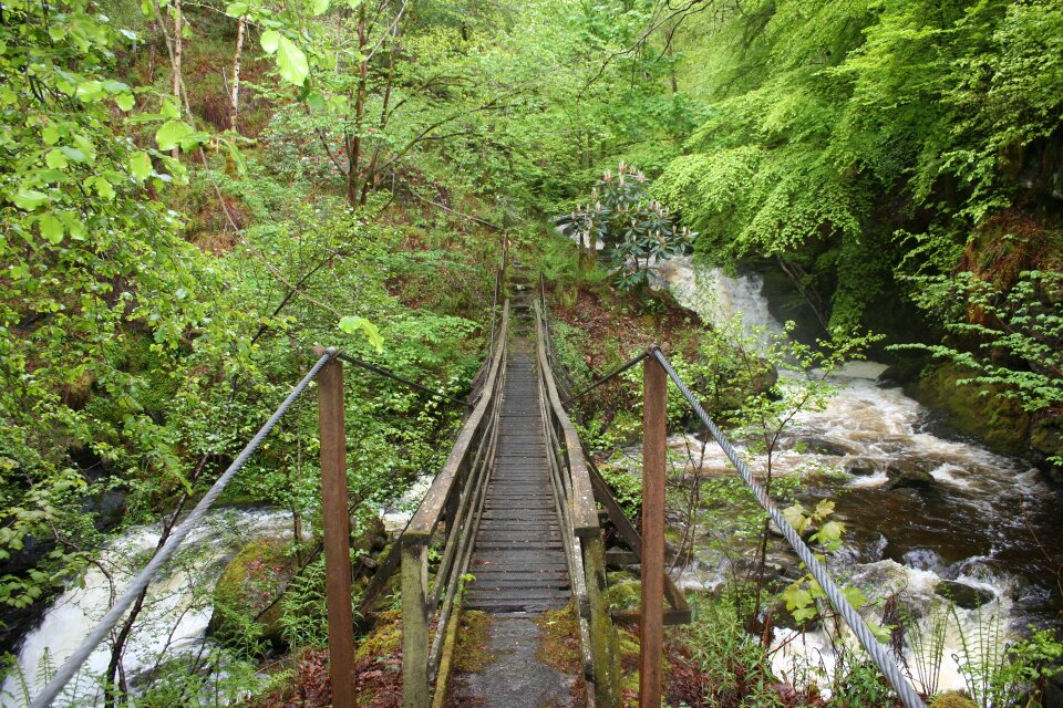 Wilderness scenery natural