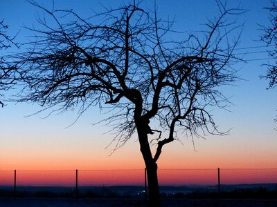 Romantic sky afterglow