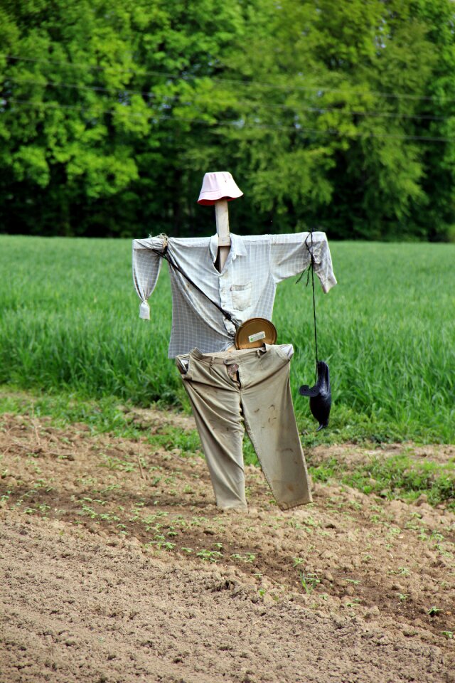 Agriculture country life field