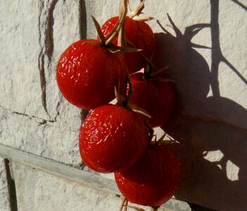 Sun food healthy