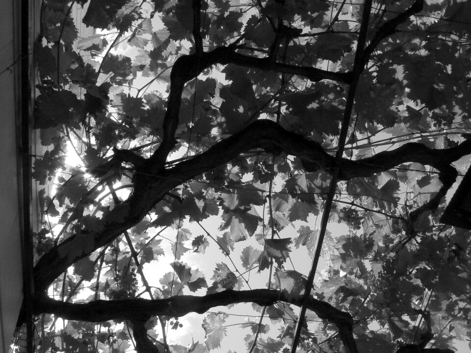 Enjoy warm black and white